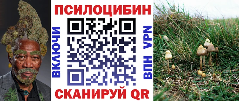 купить закладку  это какой сайт  Псилоцибиновые грибы мицелий  Верхняя Пышма  KRAKEN вход 